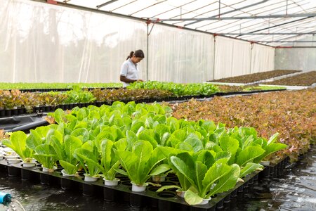 Cultivate the environment farm