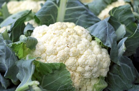 Vitamins market fresh vegetables vegan