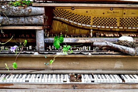 Abandoned wrecked instrument