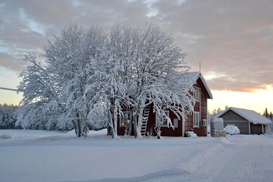 Snow landscape winter photo