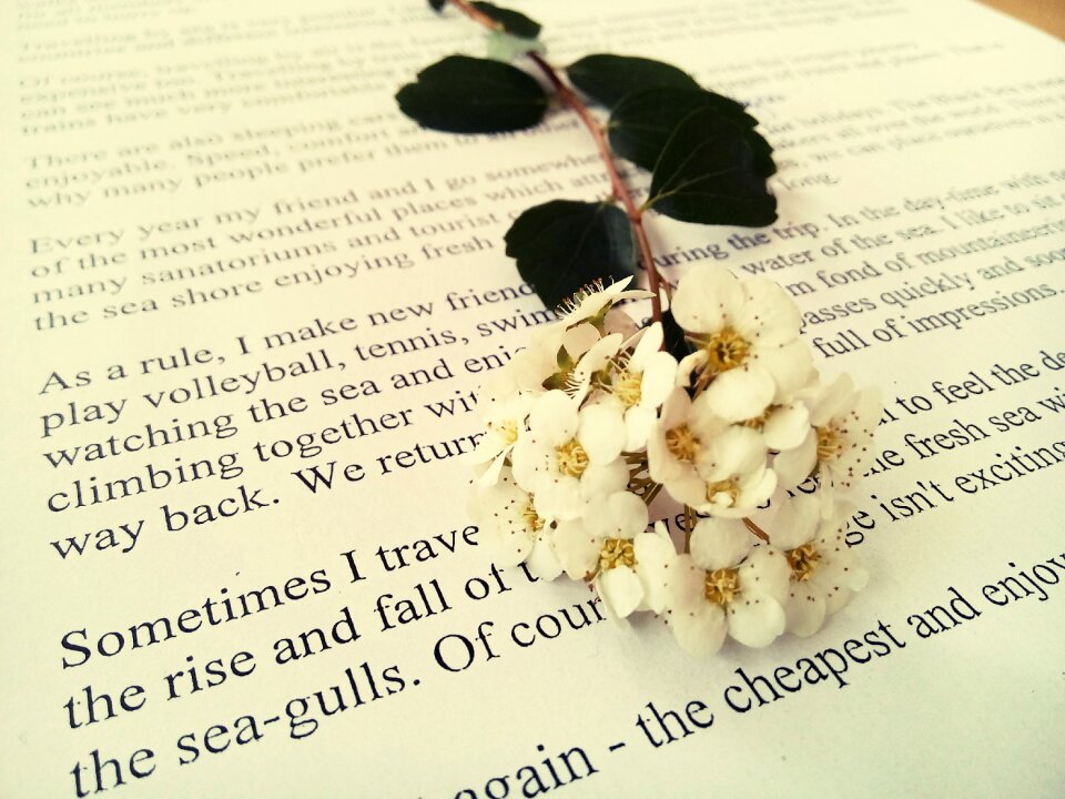 Book white natural