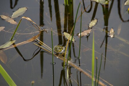 Moist lake quagmire