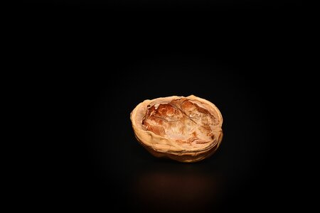 Halved walnut cut in half close up
