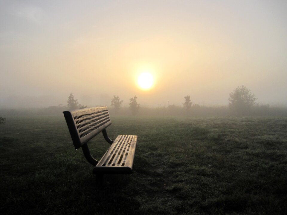 Park bench tranquil peaceful