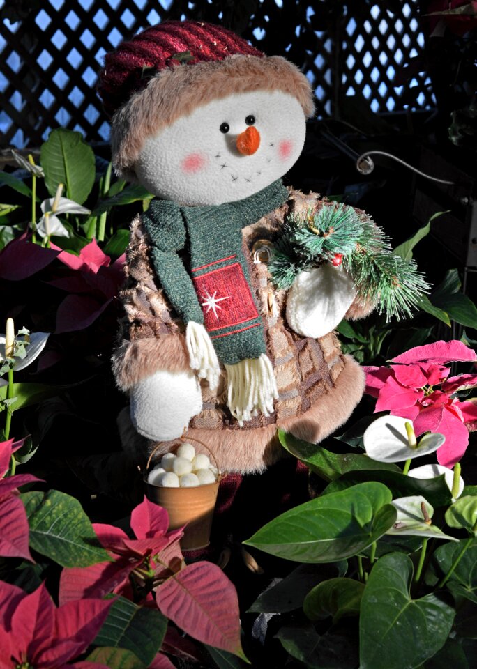 Xmas season holiday