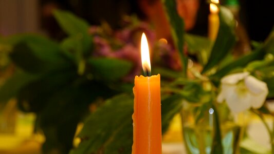 Candle evening light roma table photo