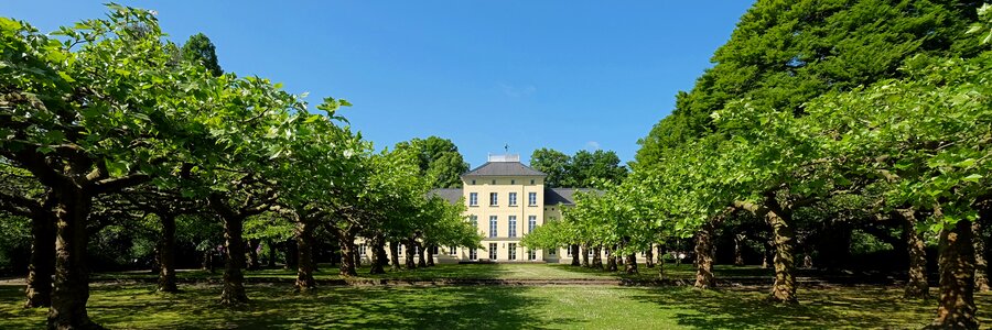 Oppum tree lined avenue garden photo