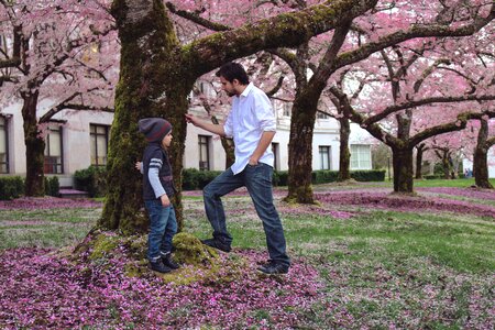 Bloom blossom child photo