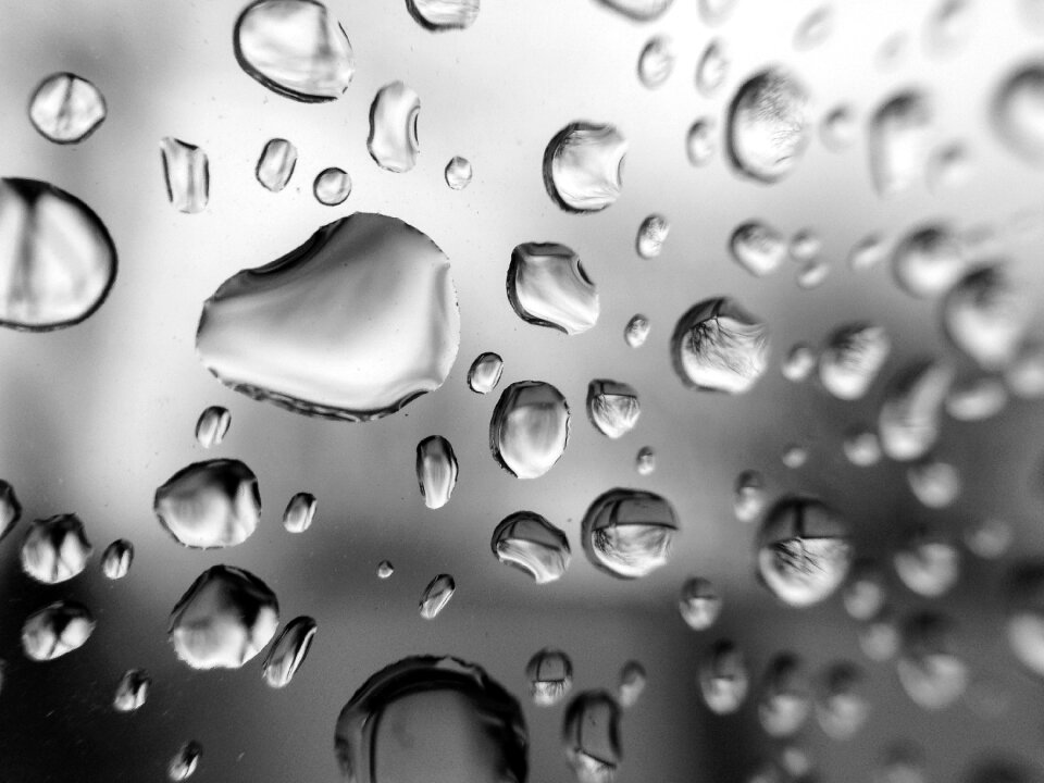 Water drops liquid water drop