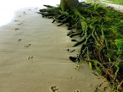 Sand elbe beach traces
