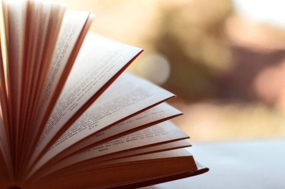Book pages literature knowledge