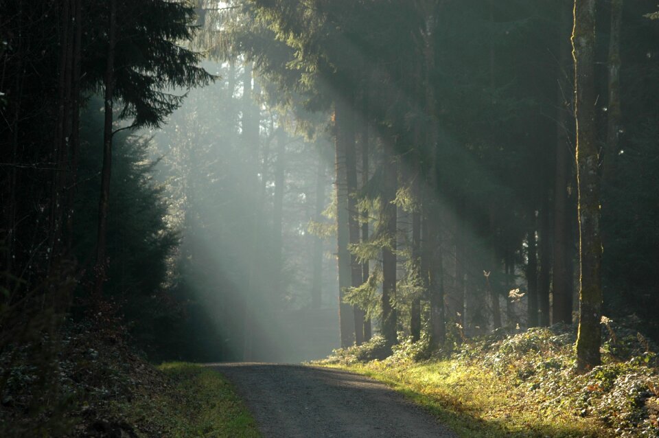 Sunlight ray of light sunbeam