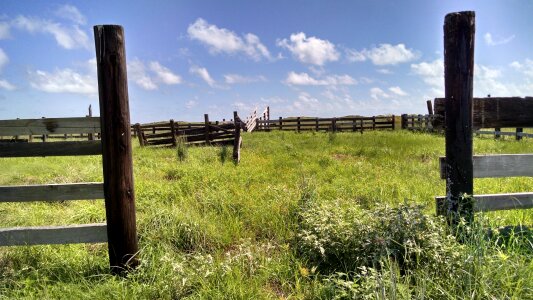 Fences old western photo