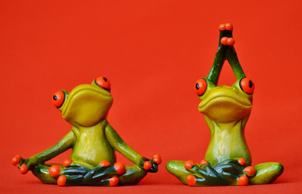 Gymnastics funny frog