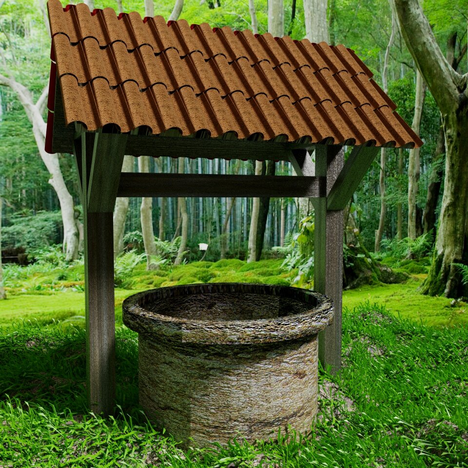 Trees mushrooms landscape