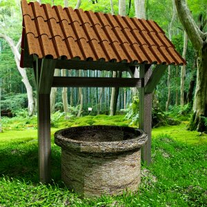 Trees mushrooms landscape