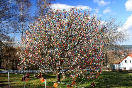 Egg tree happy easter colorful eggs photo