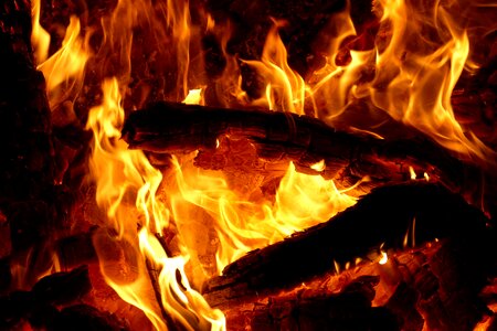 Burn wood fire brand photo