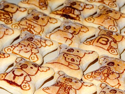 Japan koala sweet