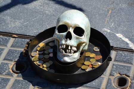 Crane death's head money