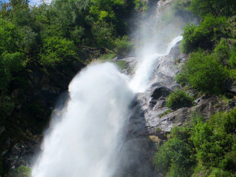 Plunge water nature