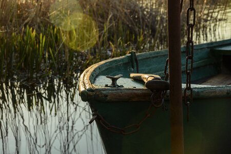 Nature waterfront fisher