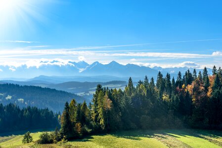 Blue sky the sun autumn