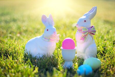 Easter eggs colorful grass