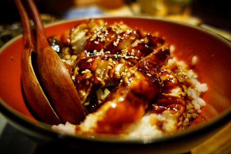 Gourmet restaurant eel rice