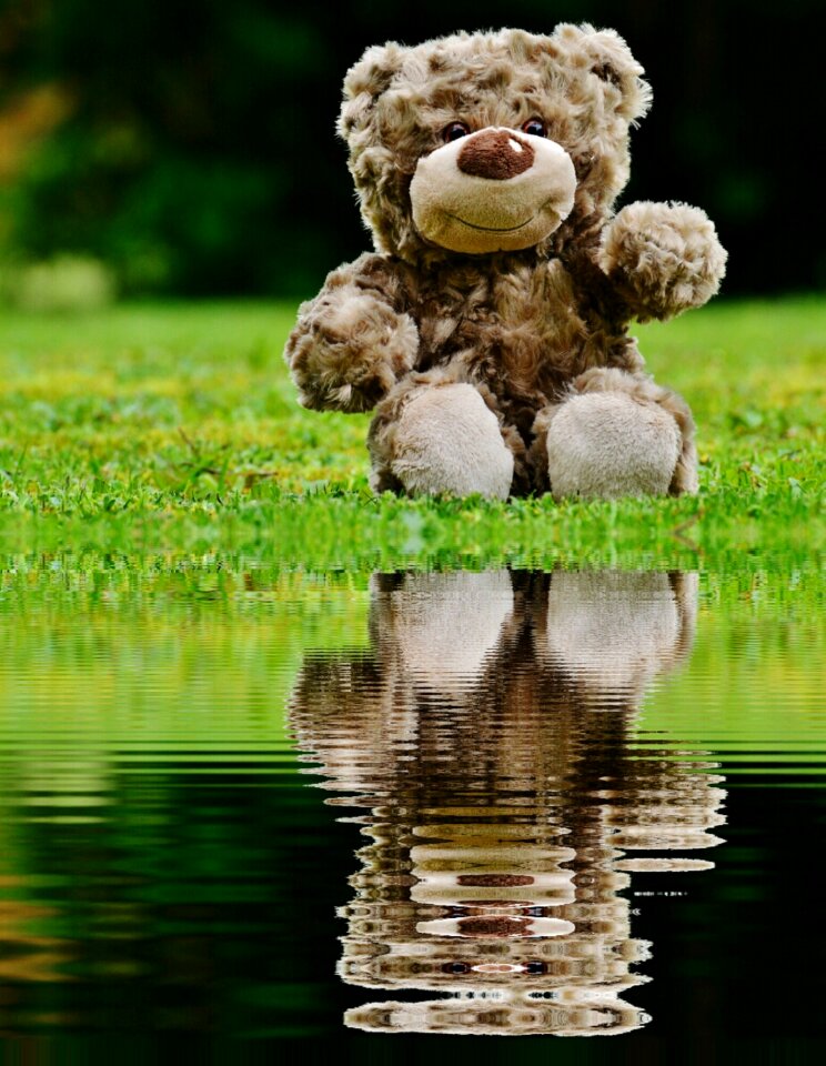 Water bank stuffed animal