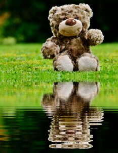 Water bank stuffed animal
