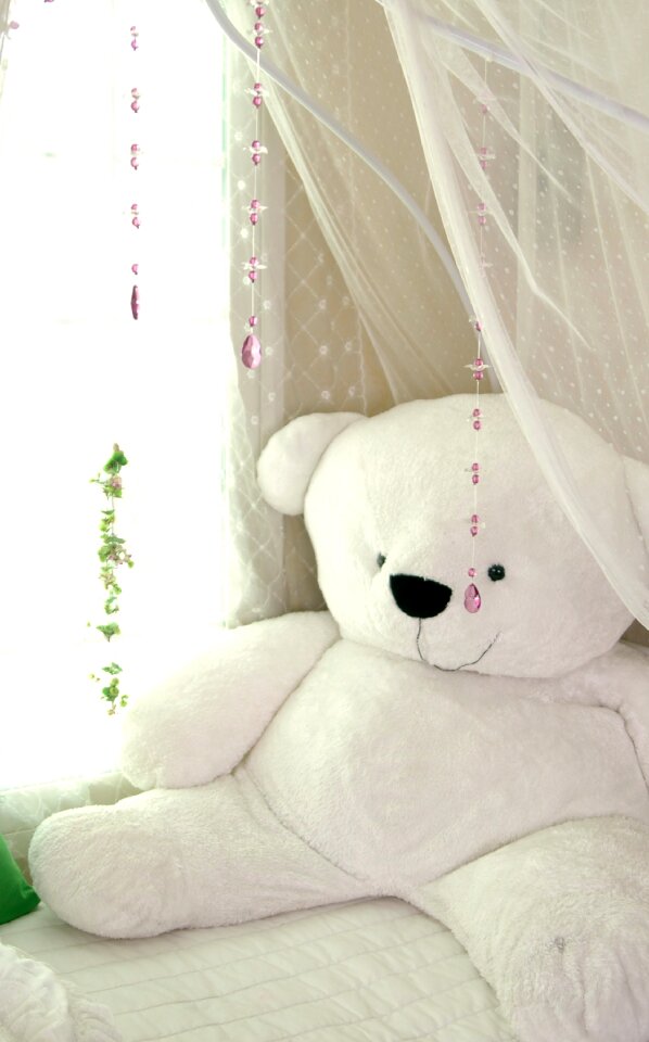 White bed curtain