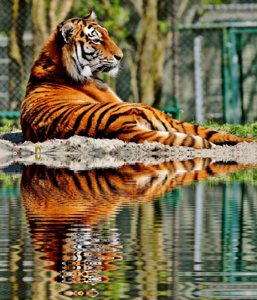 Mirroring water bank