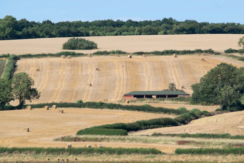 Nature field agricultural