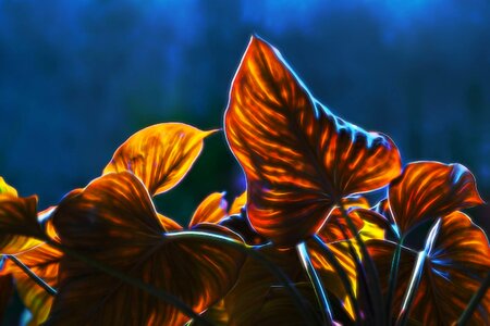Autumn leaves visual composer true north