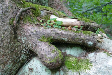Perspective landscape recreation area