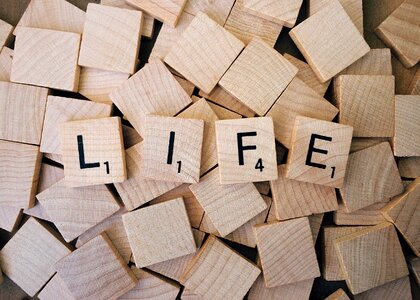 Word text brown life