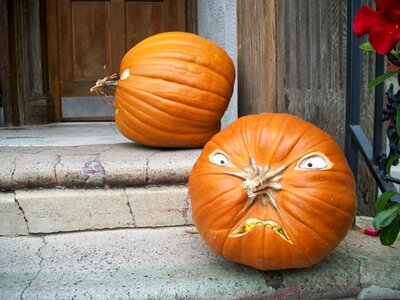 October squash harvest