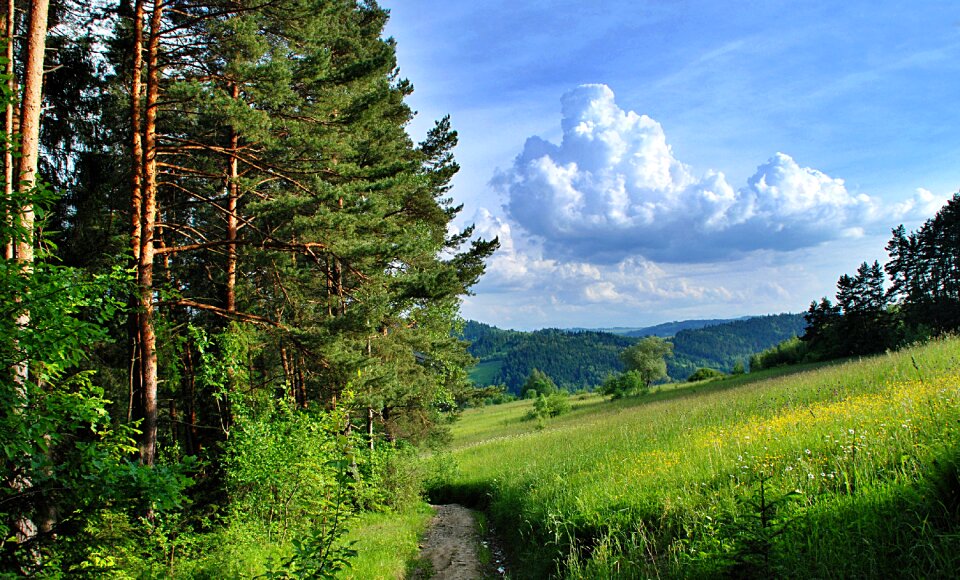 Landscape island beskids luboń wielki