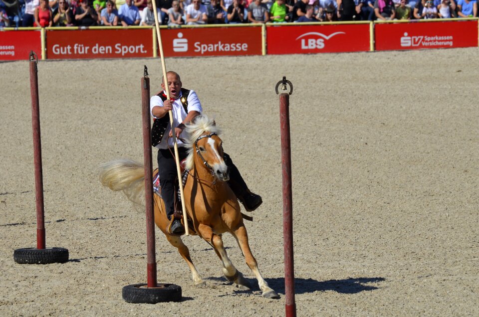 Horse head wuschelig sweet