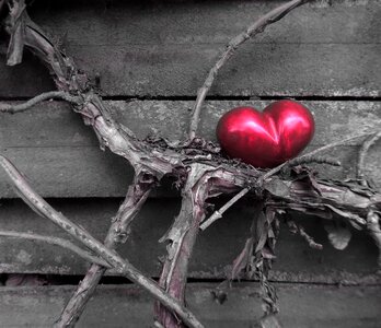 Dreams romantic relationship