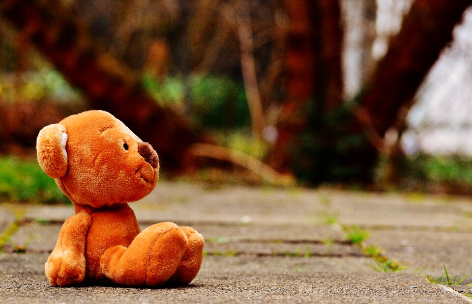 Stuffed animal teddy bear brown bear