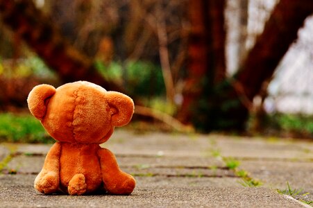 Love longing miss