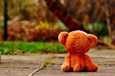 Love longing miss
