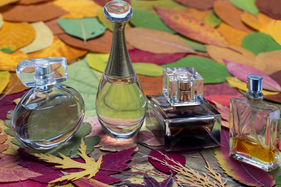 Still life leaves cosmetics