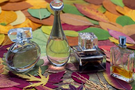 Still life leaves cosmetics photo