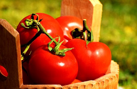 Ripe red healthy