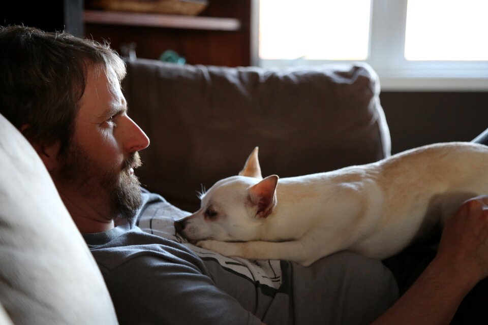 Father's day downtime puppy