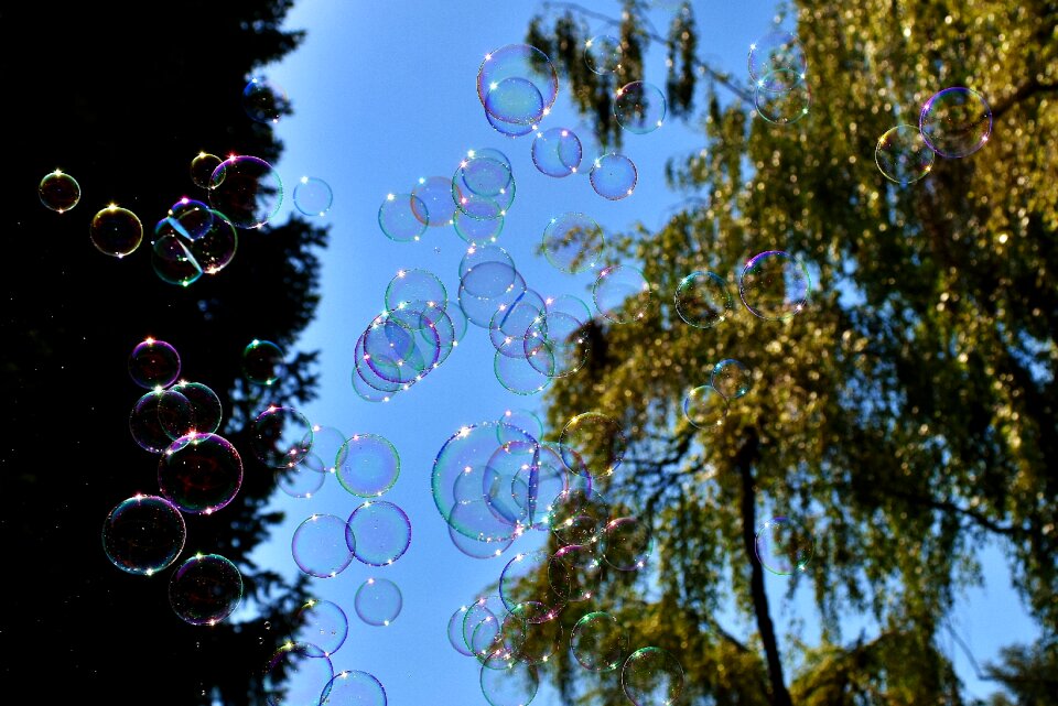 Make soap bubbles mirroring soapy water photo