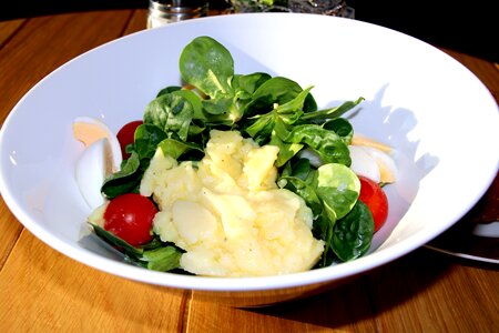 Food salad plate lamb's lettuce photo